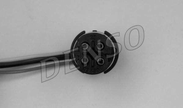 WG1029104
