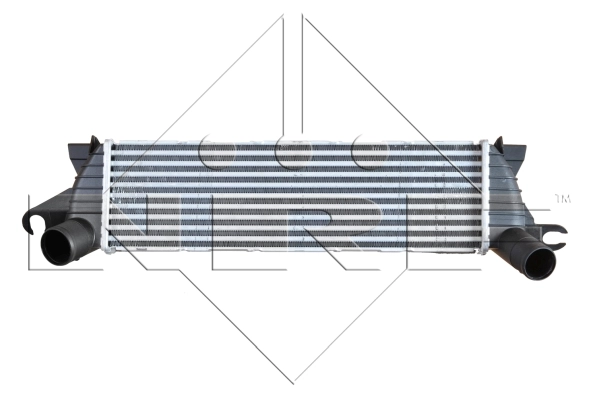 WG1724004
