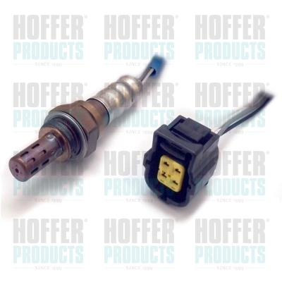 WG1013910