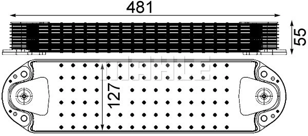 WG2181163