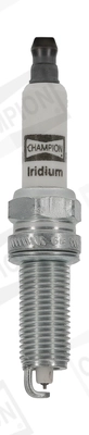 WG2009592