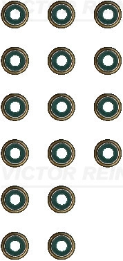 WG2102097