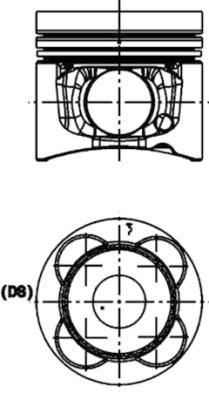 WG1016649