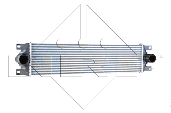WG1724125