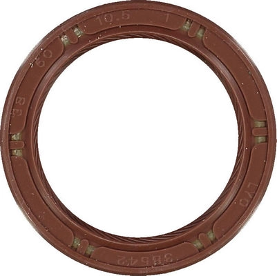 WG1005001