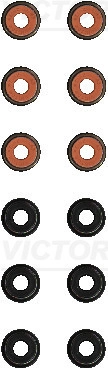 WG2303324