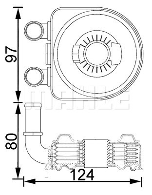 WG2181141