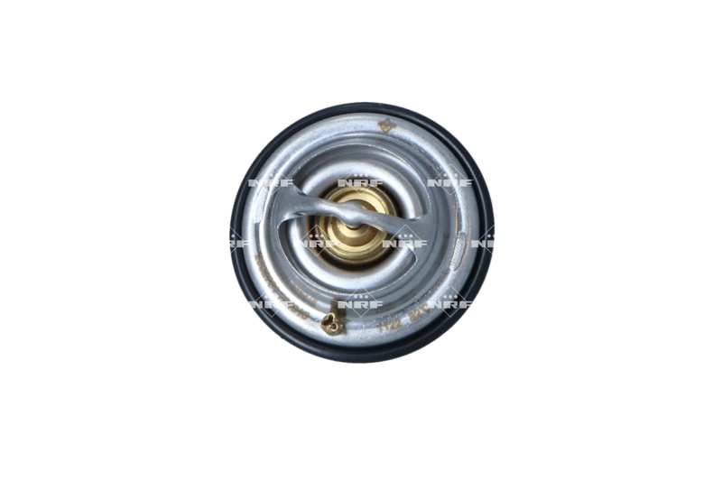 WG2330581