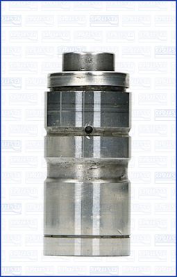 WG1170625