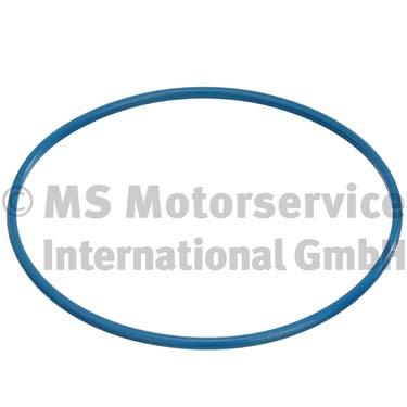 WG1025397