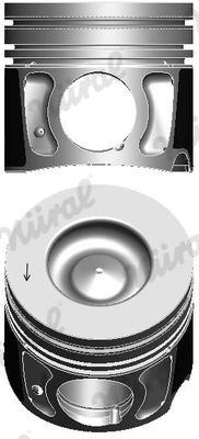 WG2202264