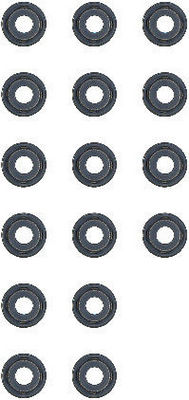 WG1004386