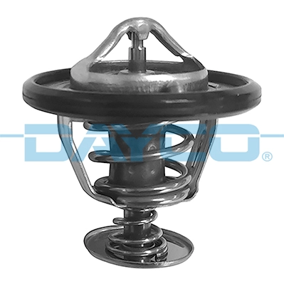 WG2113081