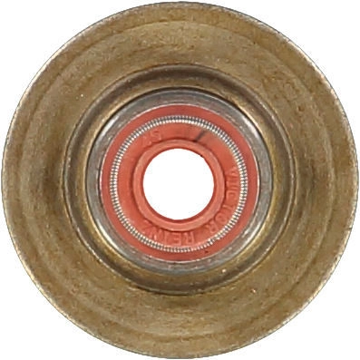 WG1004646