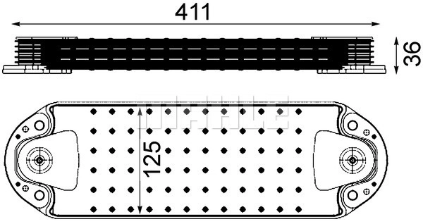 WG2181164