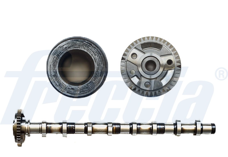 WG1155400