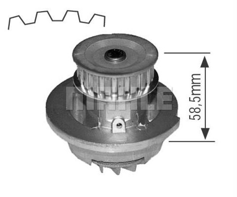 WG2181578
