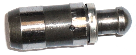 WG1156406