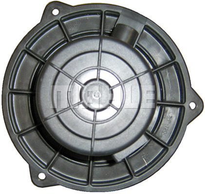 WG2179763