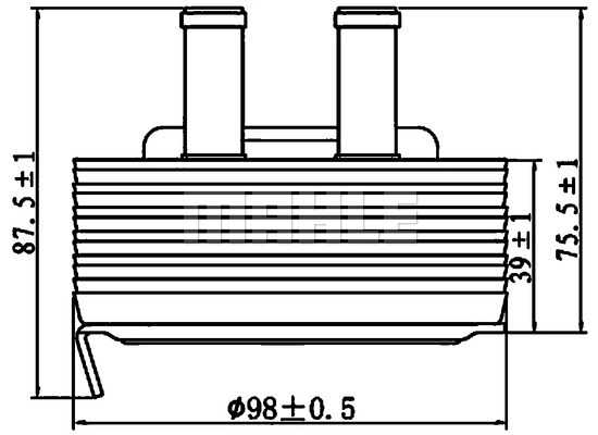WG2181145