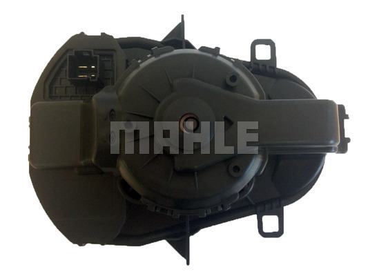 WG2179893