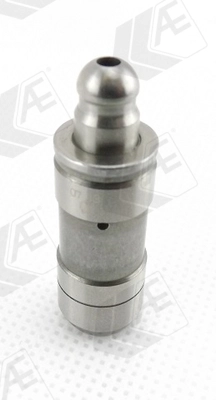 WG1462624