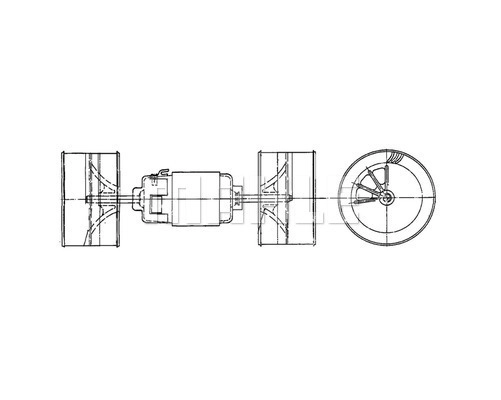WG2179957