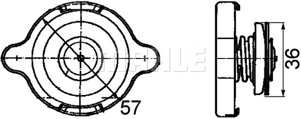 WG2184184