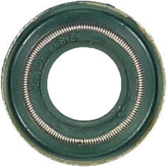 WG1004687