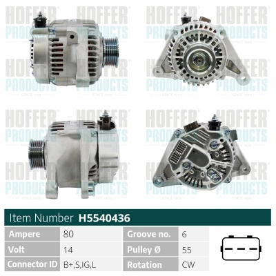 WG2197033