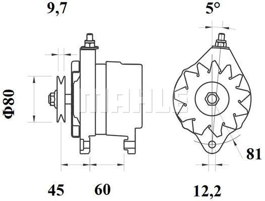 WG2043431