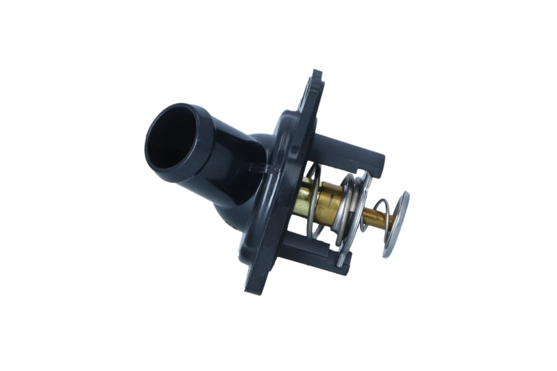 WG2204598