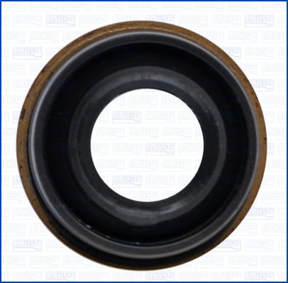 WG2078081