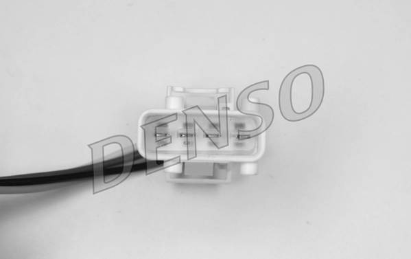 WG1029119