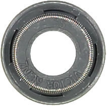 WG1004707