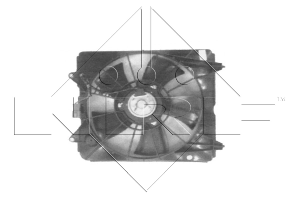 WG1720245