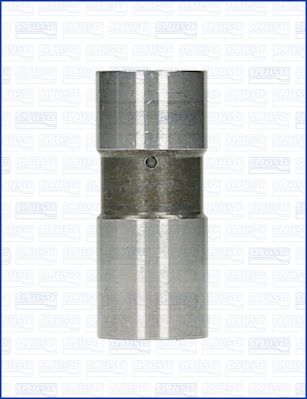 WG1170648