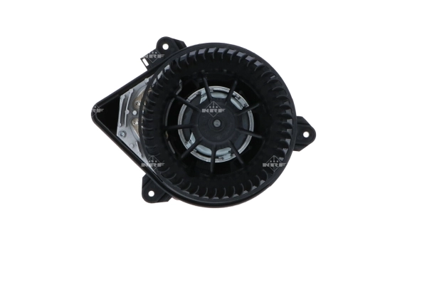 WG2160095
