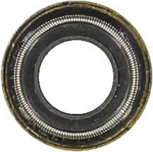 WG1004710