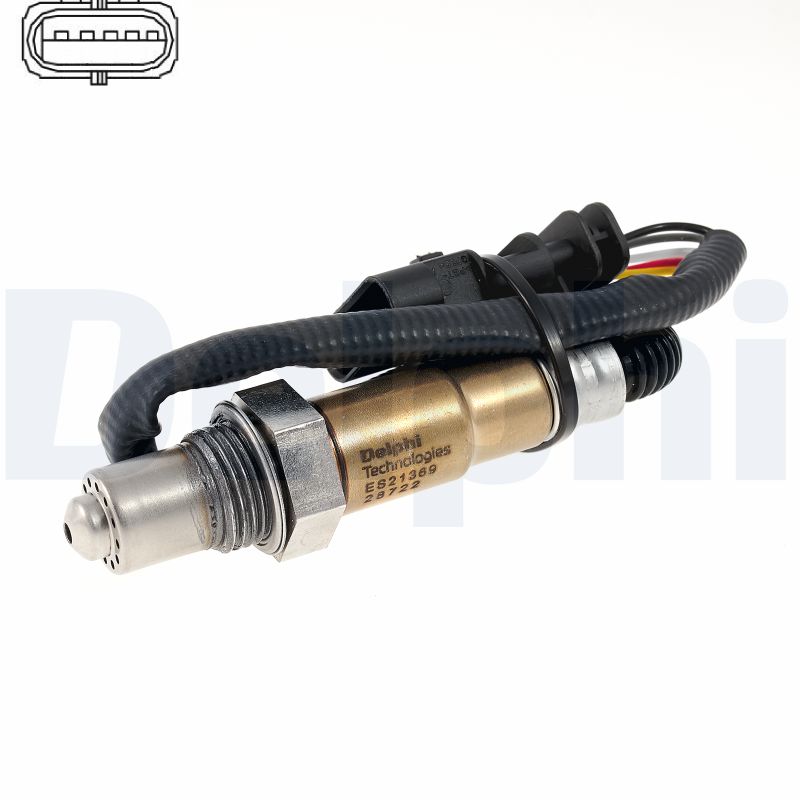WG2295892