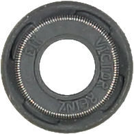 WG1004718