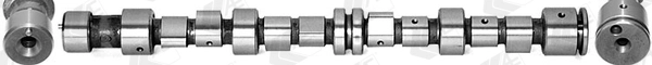 WG1171836