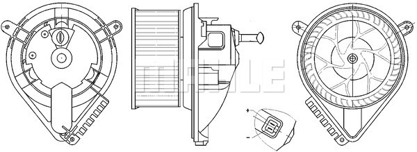 WG2179907