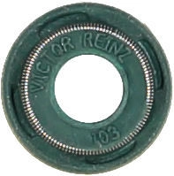 WG1004719