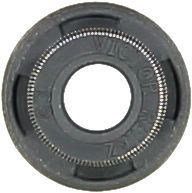 WG1004706