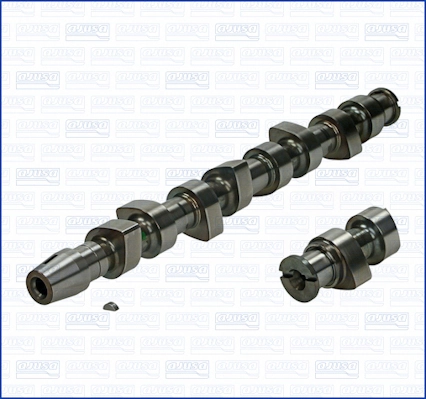 WG1170808