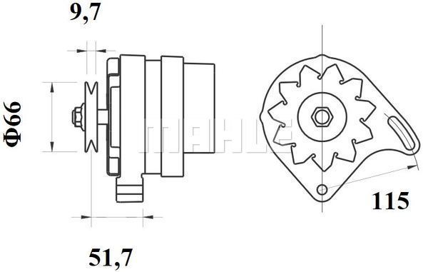 WG2043859