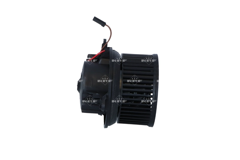 WG2160098
