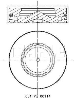 WG2325834