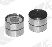 WG1172081